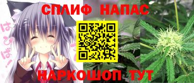 тгк Можга