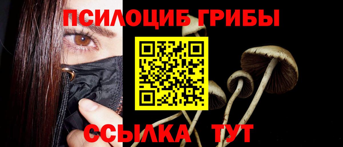 Шали  Псилоцибиновые грибы Psilocybine cubensis  Галлюциногенные грибы MAGIC MUSHROOMS  Вход с VPN 